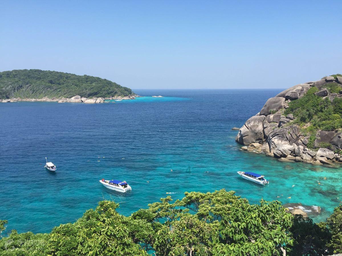 逃离椰子岛